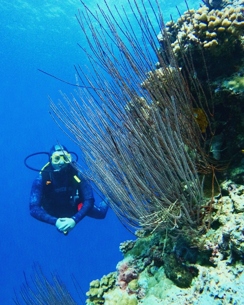 4f8a153d E8ab 4ac6 Bbaf 09351116f412