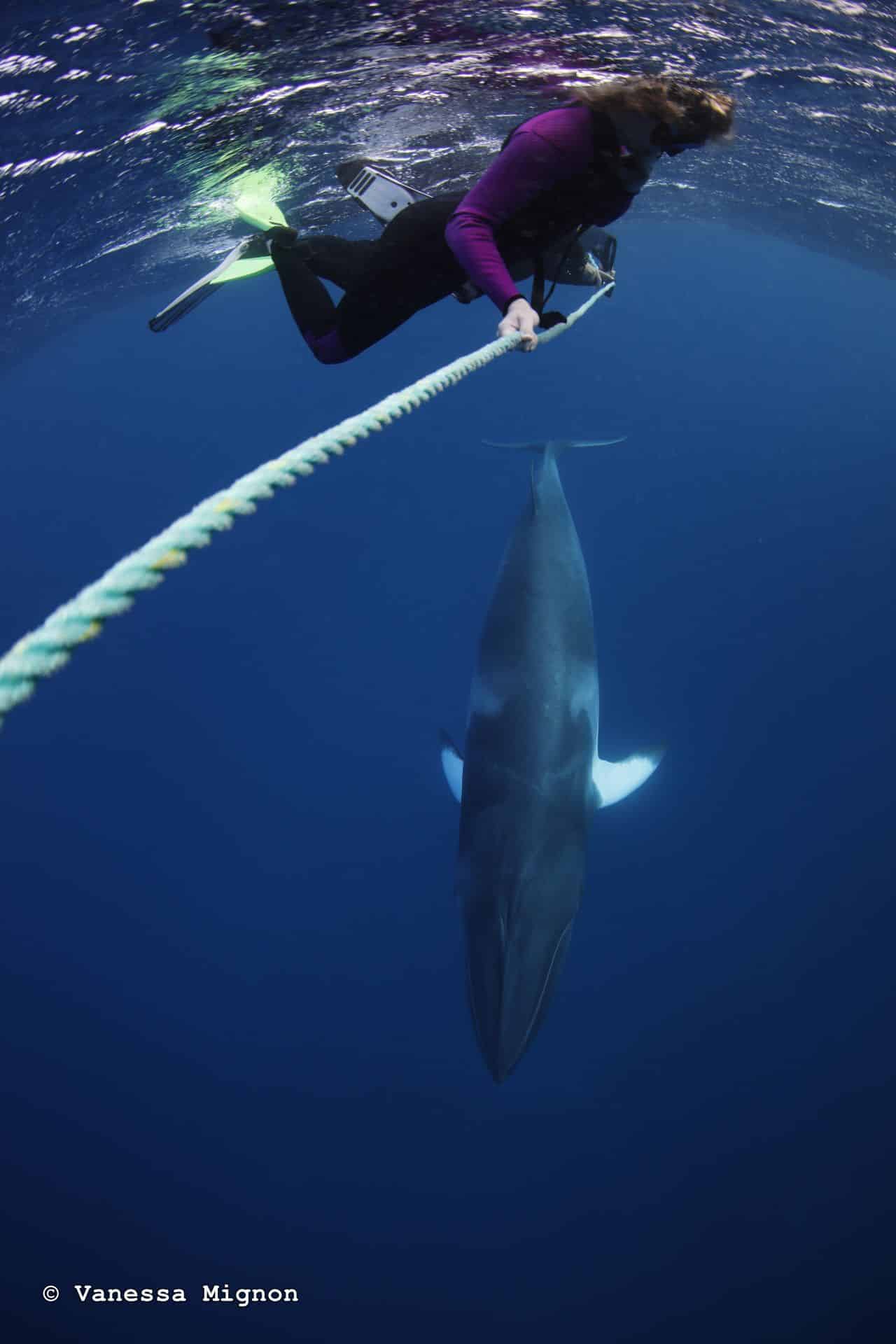 Encounter The Extraordinary