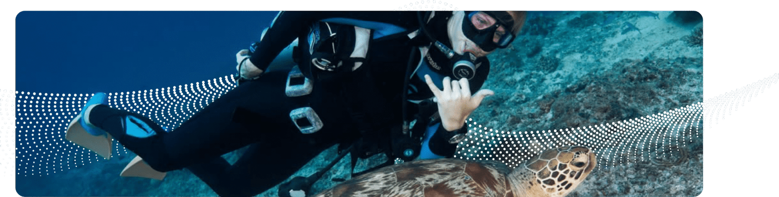 Dive Page Image Copy