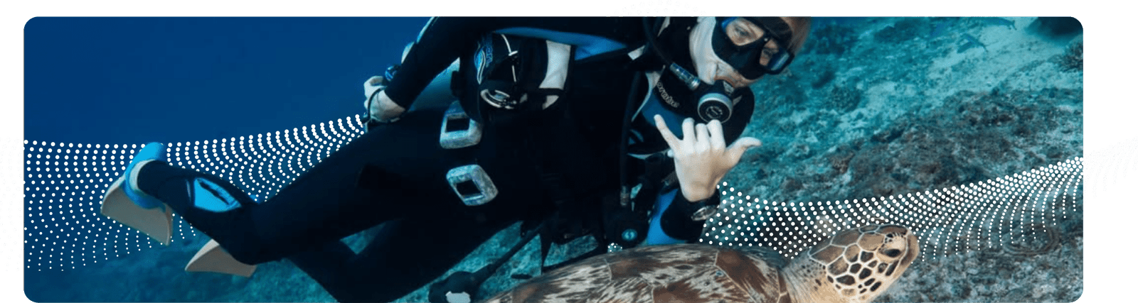 Dive Page Image Update