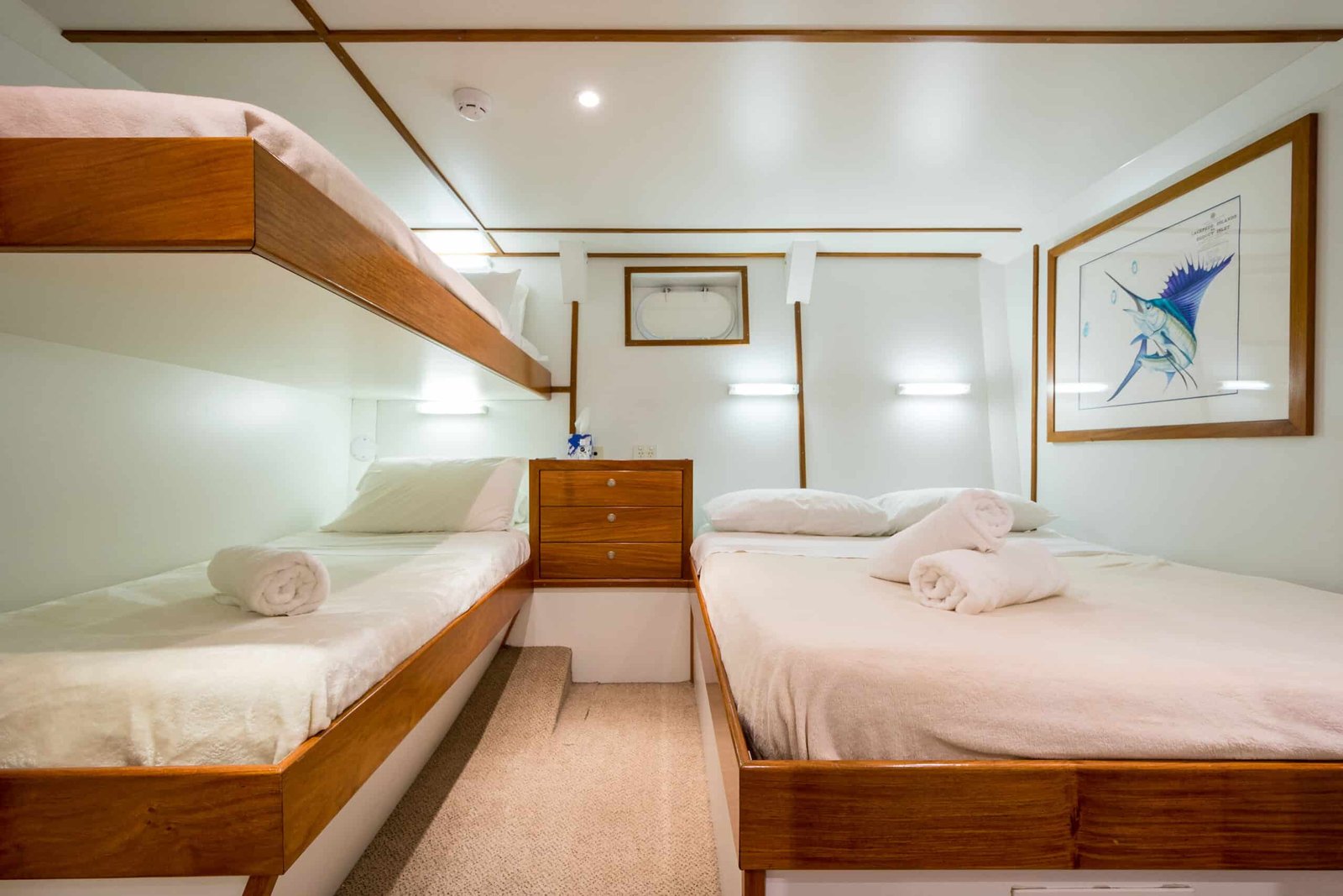 Everything You Will Need