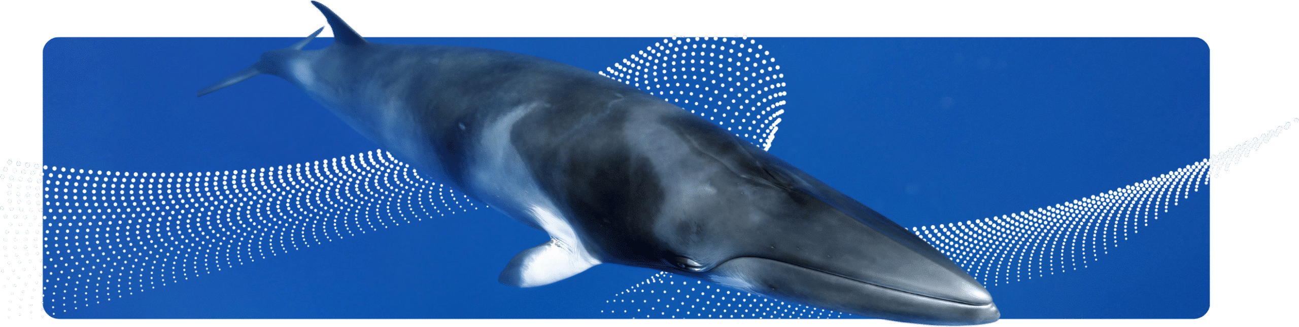 Minke Page Image Copy